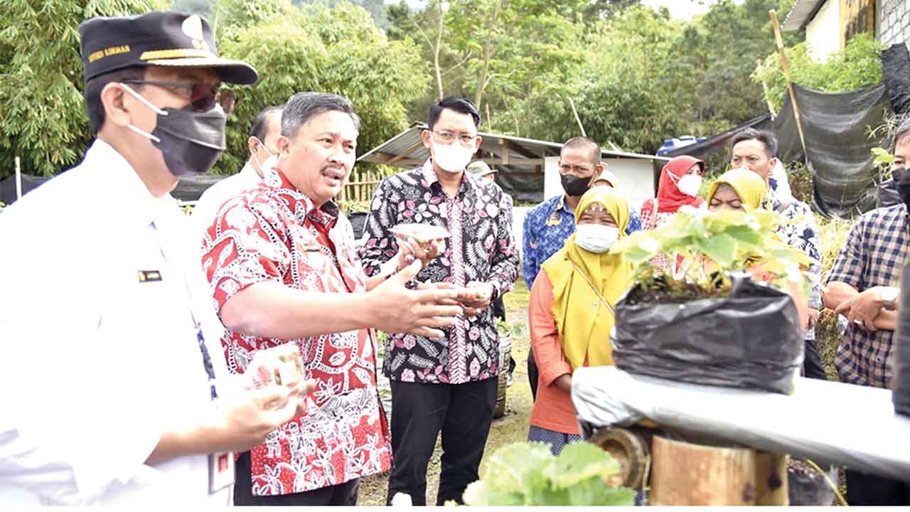 POTENSIAL: Direktur Jenderal Hortikultura Kementan RI Prihasto Setyanto saat peninjauan di Desa Glagaharjo Cangkringan Sleman kemarin (2/6). HUMAS PEMKAB SLEMAN