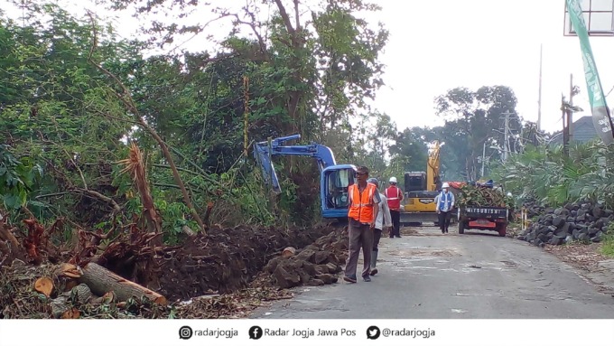 TAK TERSISA: Petugas saat memotong seluruh pohon perindang untuk proses pelebaran Jalan Kabupaten (13/6).(WULAN YANUARWATI/RADAR JOGJA)