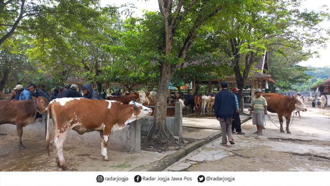 Suasana di Pasar Hewan Ambar Ketawang beberapa waktu lalu.(MEITIKA CANDRA LANTIVA/RADAR JOGJA)