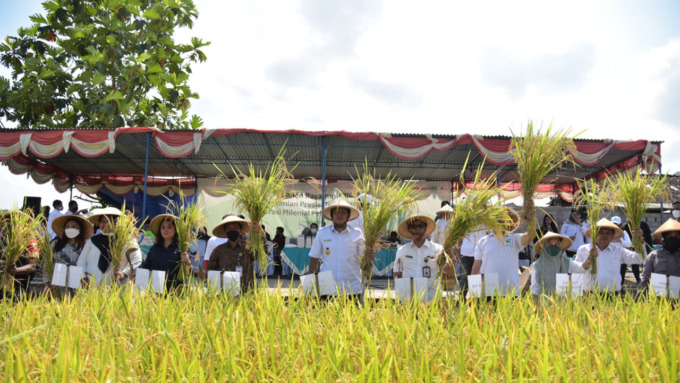 BERHASIL: Panen raya hasil dari sistem pertanian presisi di Sumberharjo, Prambanan (22/6).(DOKUMENTASI HUMAS PEMKAB SLEMAN)
