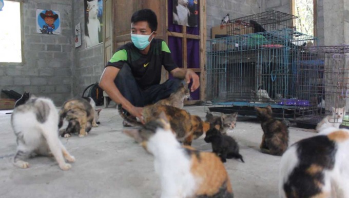 PEDULI: Budiana dengan ratusan kucing telantar di jalanan yang ia selamatkan. Ia menyewa tiga bangunan untuk mendirikan Rumah Sahabat Kocheng ini.(HENDRI UTOMO/RADAR JOGJA)
