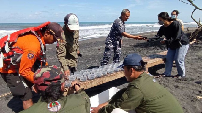 PEDULI LINGKUNGAN: Pengurus PKSM Lestari 2022-2027 dikukuhkan ditandai dengan pelepasliaran tukik di Pantai Trisik, Kapanewon Galur, Kulonprogo.(HENDRI UTOMO / RADAR JOGJA)