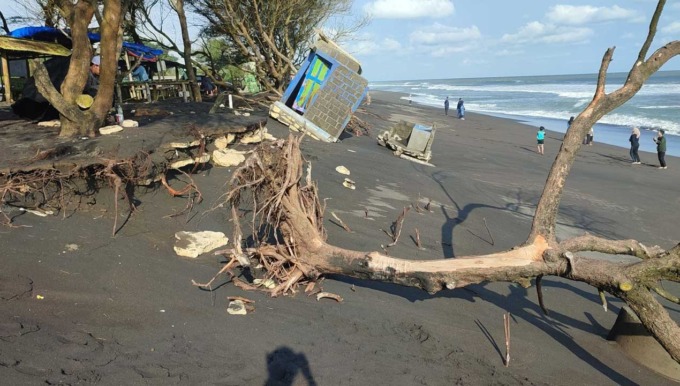 MENGKHAWATIRKAN: Abrasi yang terjadi di Pantai Trisik semakin parah. Kondisi ini ikut mengancam keberadaan binatang penyu.(RADAR JOGJA FILE)