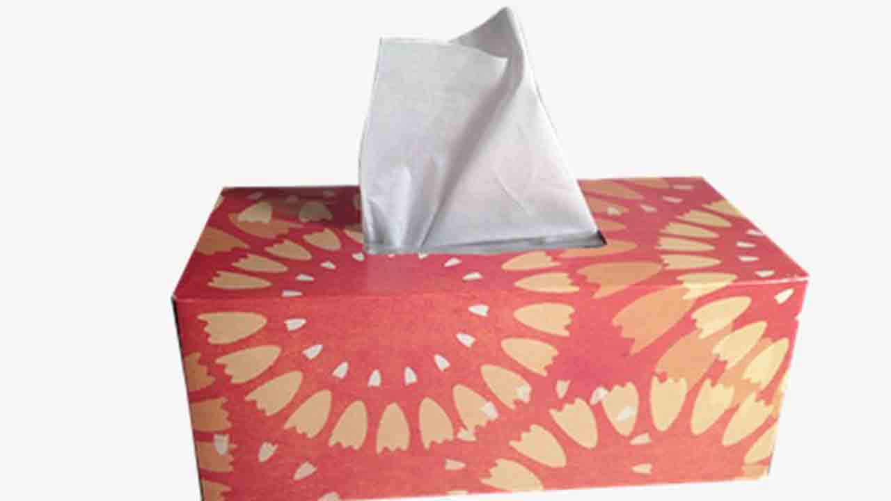 Tisue. (FOTO: https://pixabay.com/photos/tissues-box-of-tissues-hygiene-1000849/)