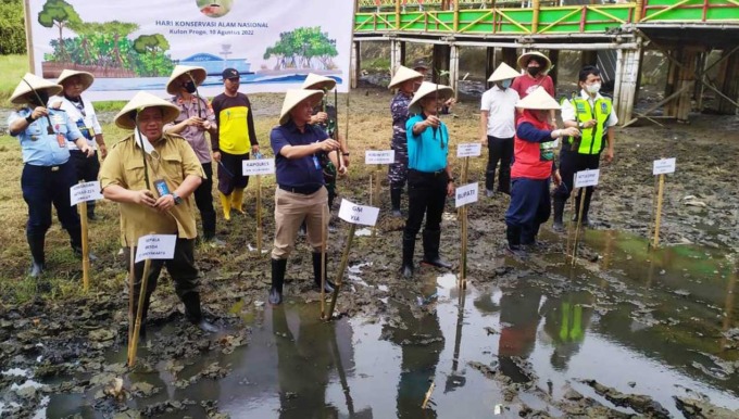 MITIGASI BENCANA: Proses penanaman pohon mangrove oleh PT Angkasa Pura I di Pasir Kadilangu, Kalurahan Jangkaran, Kapanewon Temon, Kulonprogo, kemarin.(HENDRI UTOMO / RADAR JOGJA)