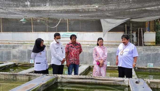 TINJAU: Perwakilan Ditjen Perikanan Budidaya, Kementerian Kelautan dan Perikanan (KKP) RI bersama Dinas Peternakan dan Perikanan (Dispeterikan) dan Anggota Komisi IV DPR RI Fraksi PDI Perjuangan Dapil Jateng VI saat melakukan pengecekan kolam benih ikan l