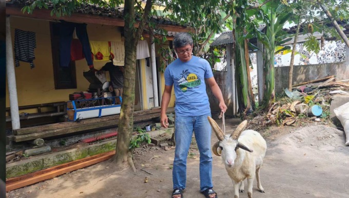 UNIK: Kambing milik Handoko ini mempunyai tanduk berjumlah empat. Padahal, umunya hanya bertanduk dua.(Naila Nihayah/Radar Jogja)