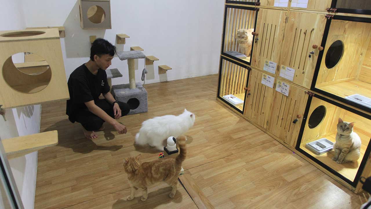 GUNTUR AGA TIRTANA/RADAR JOGJA