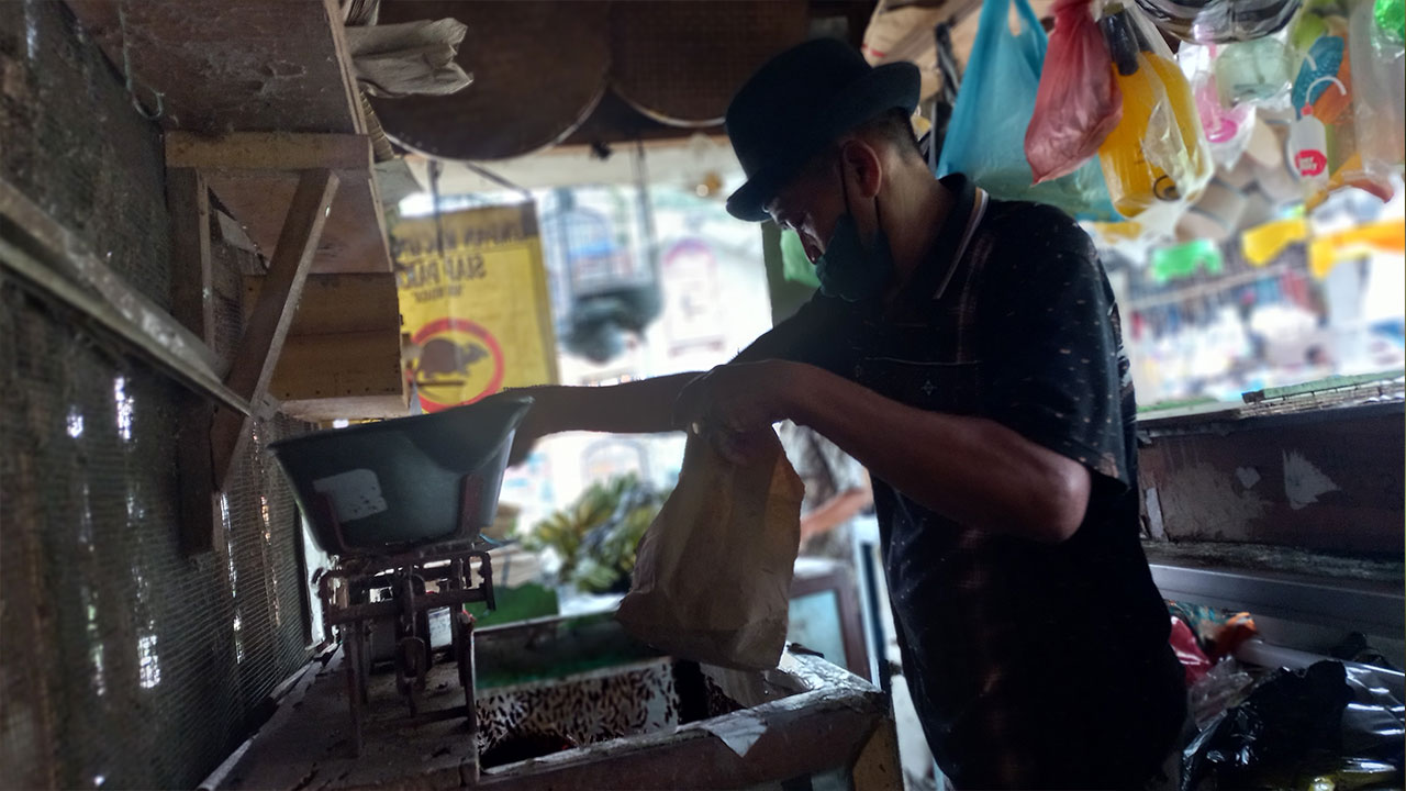 BUKAN UNTUK DIADU: Penjual jangkrik di Pasar Aneka Satwa dan Tanaman Hias Yogyakarta (Pasty) Subagyo. Jangkrik hasil ternak ini untuk pakan burung, ikan dan ayam.(WINDA ATIKA IRA P/RADAR JOGJA)
