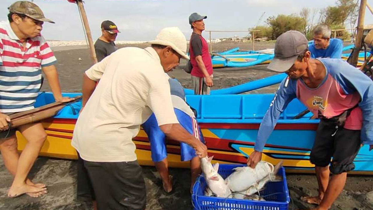 MELIMPAH : Hasil tangkapan ikan para nelayan. Seperti diketahui kebutuhan ikan di Bantul masih defisit dan membuat Pemkab Bantul melakukan percepatan produksi ikan.