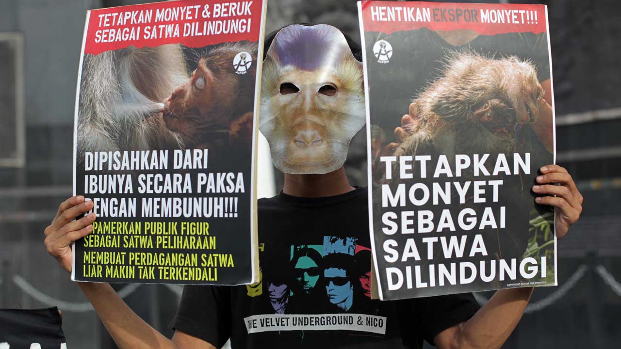GUNTUR AGA TIRTANA/RADAR JOGJA