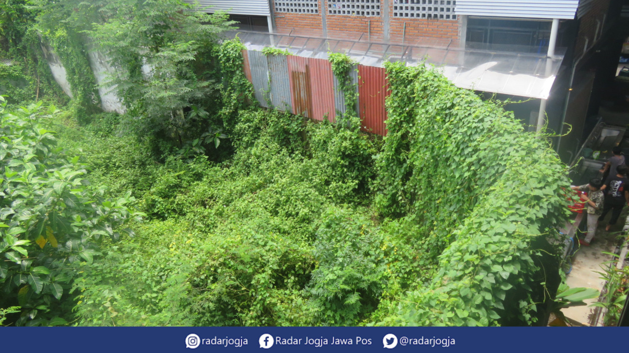 CALON : Semak belukar tumbu liar di calon lahan Teras Malioboro 2 yang berada di Utara Teras Malioboro 1, Selasa (7/2). (DWI AGUS/RADAR JOGJA)