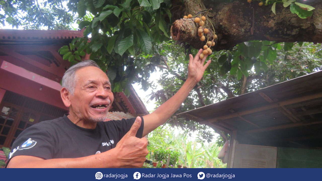 MANTAB : Warga Kampung Nitikan Bun Yan Mashuri menunjukan buah Duku yang berada di halaman rumahnya, Jumat (17/2). (DWI AGUS/RADAR JOGJA)