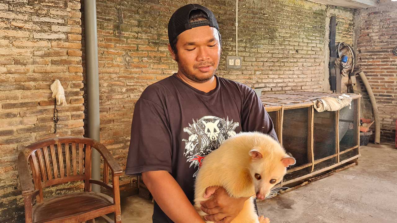BERANEKA RAGAM: Musang pandan dari peternakan milik Septiawan Prasetyo Nugroho ini tergolong banyak. Bahkan ada musang yang dibanderol dengan harga puluhan juta rupiah.(NAILA NIHAYAH/RADAR JOGJA)
