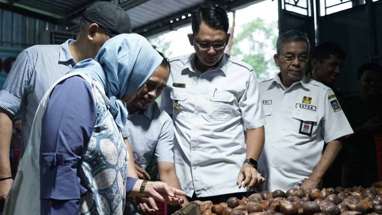 TINJAU PRODUKTIVITAS SALAK: Wakil Bupati Sleman Danang Maharsa beserta Asisten Deputi Pengembangan Agribisnis Hortikultura Kementrian Koordinator Bidang Perekonomian Yuli Sri Wilanti dan jajaran saat meninjau produktivitas salak di Kapanewon Turi Rabu (29