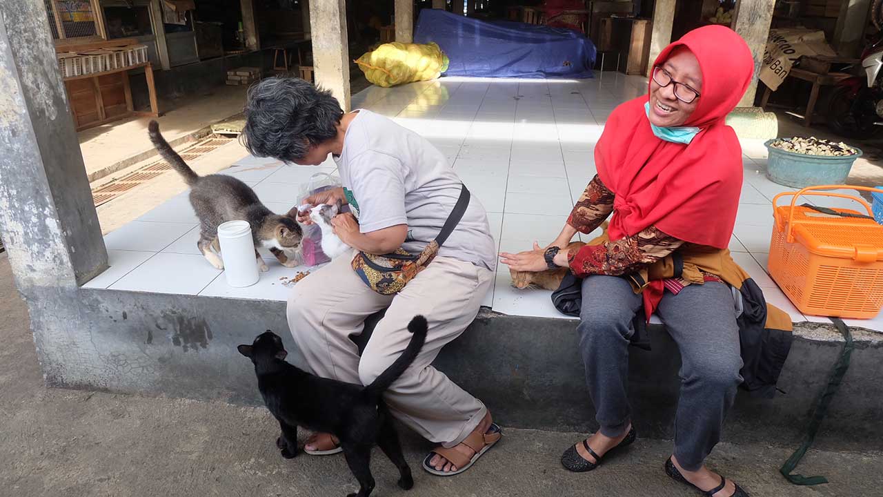 PEDULI : PKP adalah komunitas pemberdaya kucing pasar bentukan Animal Friends Jogja (AFJ) sejak 2015 silam. PKP concern pada kucing-kucing yang berada di pasar.(FAHMI FAHRIZA/RADAR JOGJA)