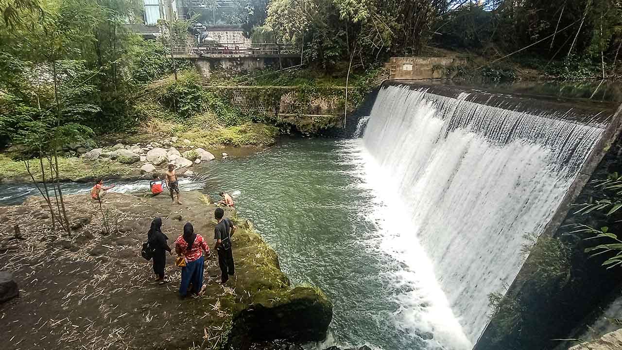 Green Kayen untuk Radar Jogja