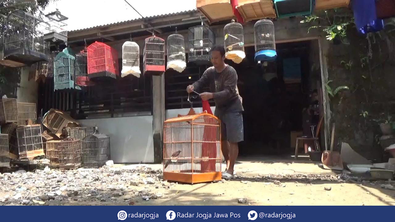 RUTINITAS : Budi Purwantoro tengah merawat burung di tempat penyimpanan burung di samping rumahnya, Selasa (18/4). (ANNISSA KARIN/RADAR JOGJA)