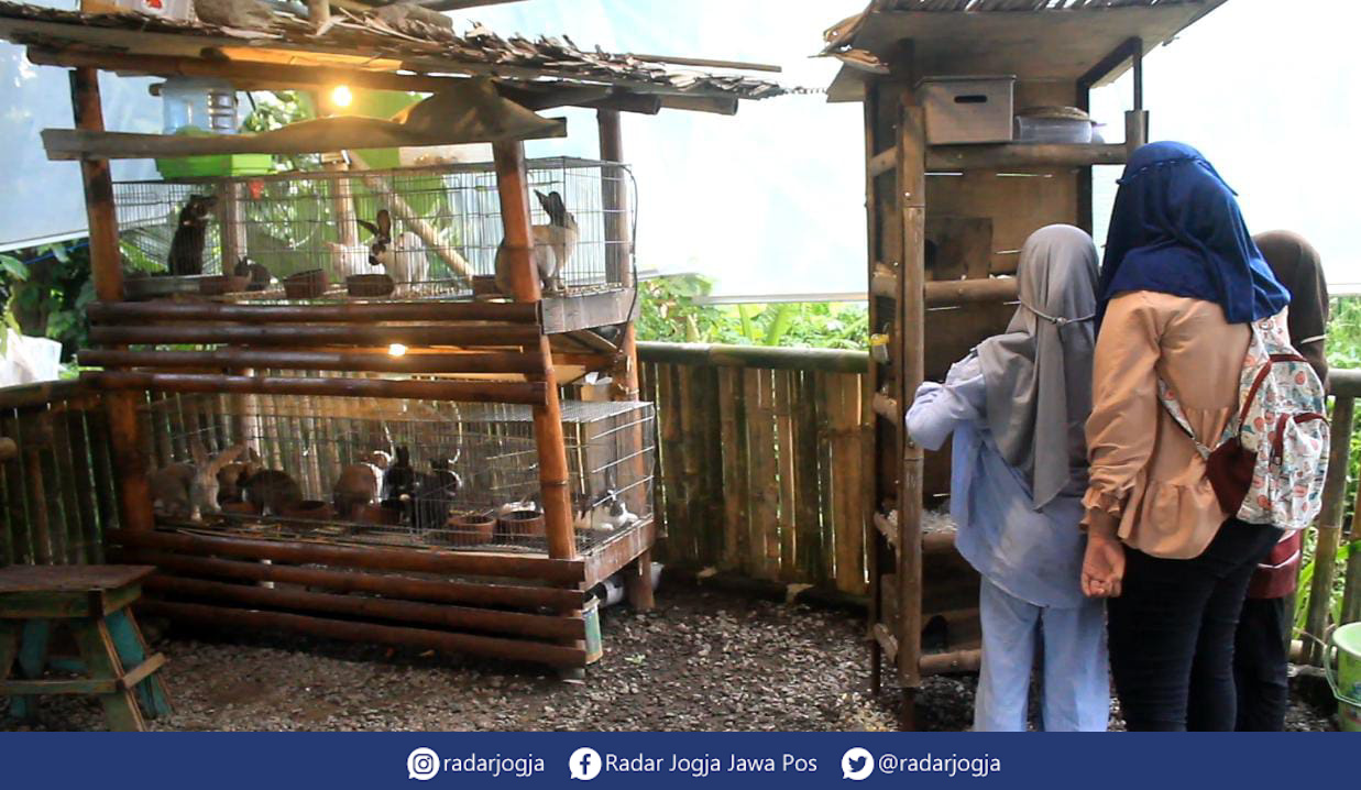 BERMAIN : Anak-anak tengah bermain bersama kelinci di Kebon Okay, Jalan Gatot Kaca, RT 004 RW 004, Ngemplak, Sinduharjo, Ngaglik, Sleman. (ANNISSA KARIN/RADAR JOGJA)