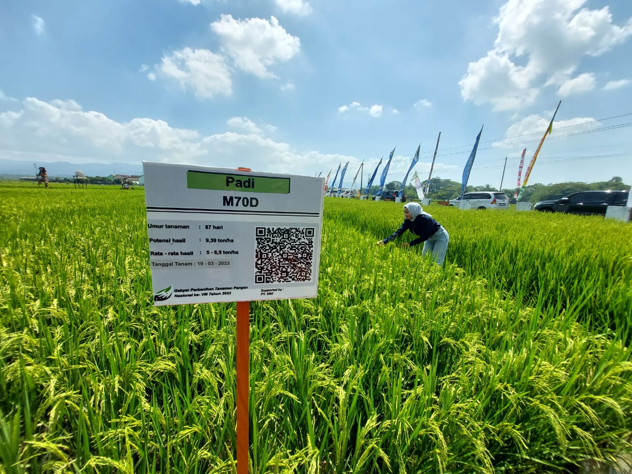 INOVASI : Salah satu inovasi hasil benih yang dipamerkan dalam Gebyar Perbenihan Tanaman Pangan Ke-VIII Tahun 2023 di Jogja Agro Park (JAP) di Kemiri, Kalurahan Wijimulyo, Kapanewon Nanggulan, Kulonprogo, Senin (29/5). (HENDRI UTOMO/RADAR JOGJA)