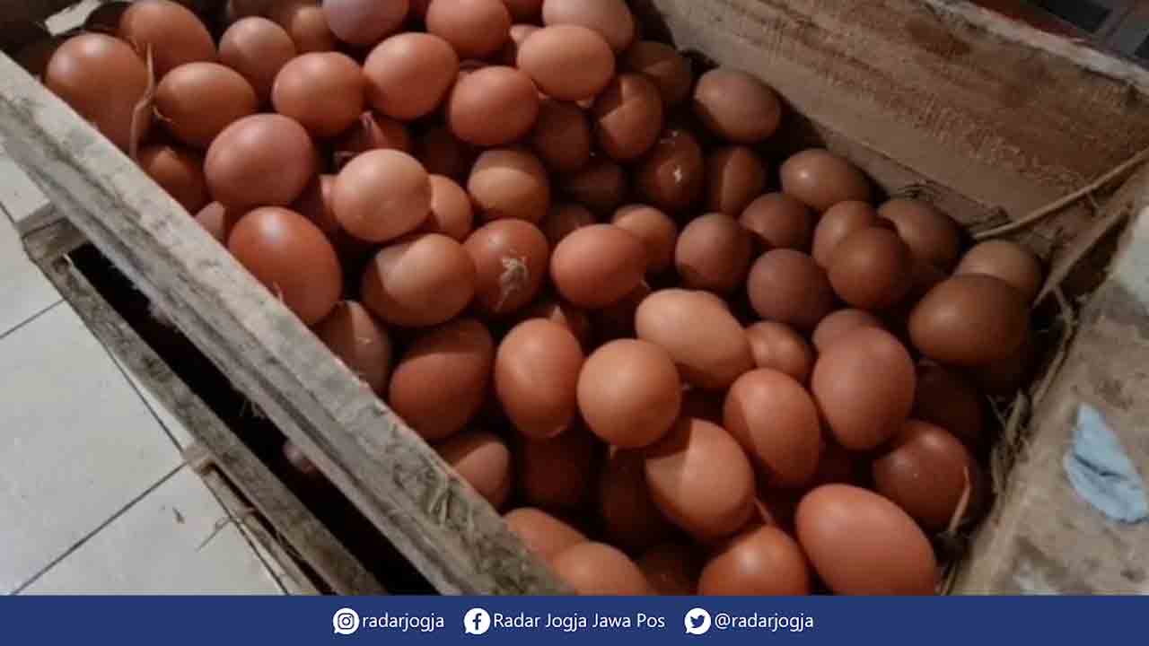 MASIH MAHAL: Harga telur di Pasar Beringharjo masih menyentuh harga Rp 30 ribu/kg, Senin (8/5). (ALFI ANNISA KARIN/RADAR JOGJA)
