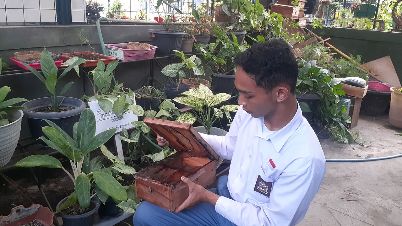 Salah satu siswa SMAN 11 Jogja sedang melakukan pengecekan terhadap budi daya lebah klanceng.(RIZKY WAHYU/RADAR JOGJA)