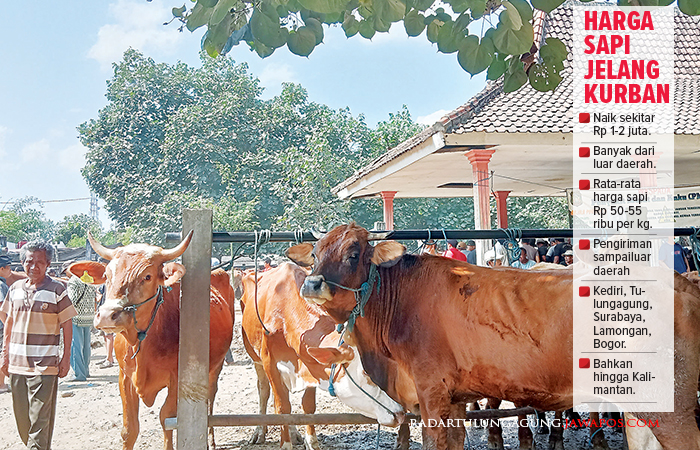 RAMAI: Para pedagang di Pasar Dimoro sedang menawarkan sapi, kemarin (14/6).