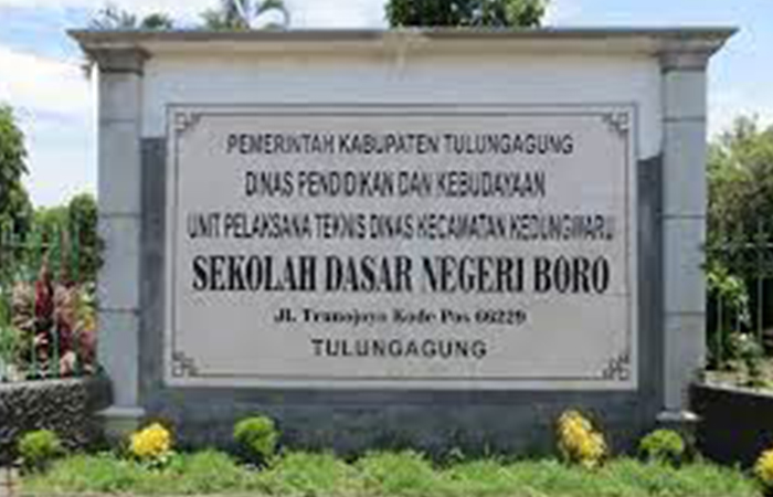 SD Negeri Boro.