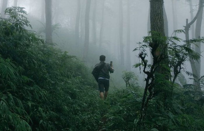 Penjelajahan Gunung Wilis via Jurang Senggani