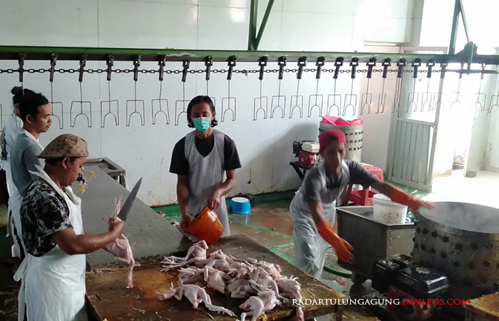 AMIS: Sejumlah petugas RPH Dimoro sedang melayani pemotongan hewan kemarin (17/6).&nbsp;