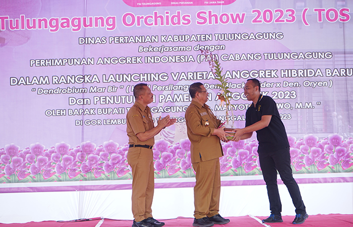 SEMRINGAH: Bupati Tulungagung Maryoto Birowo saat menerima  bunga anggrek jenis baru, Dendrobium Mar Bir, kemarin (20/6).