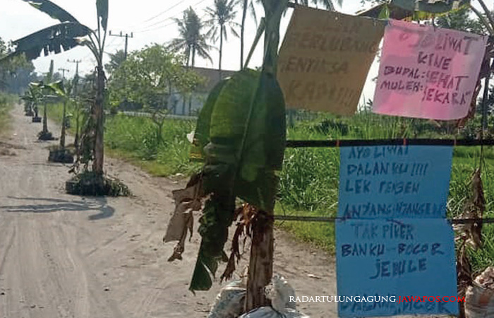 MENUNGGU: Warga Desa Slorok, Kecamatan Garum, menyampaikan keluhan dengan memanam pohon pisang.