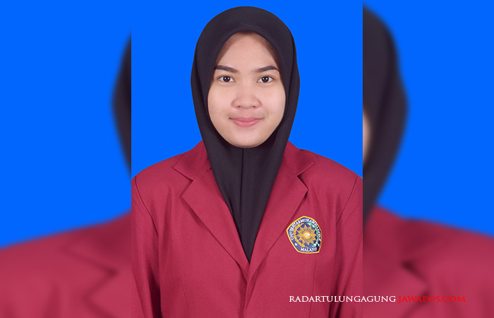 Dhinie Noer Anie - Mahasiswa Sosiologi, Fakultas Ilmu Sosial dan Ilmu Politik, Universitas Muhammadiyah Malang