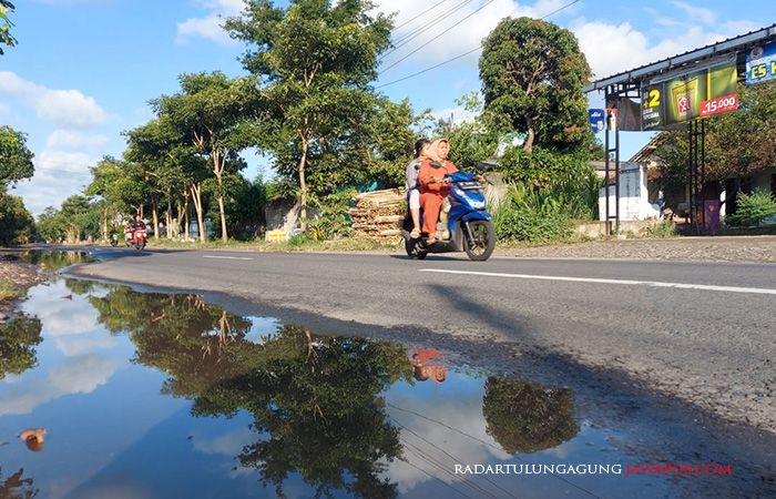 HARUS DIPERHATIKAN: Genangan air di sisi timur di jalan raya Desa Karanggayam, Kecamatan Srengat, kemarin (29/6).