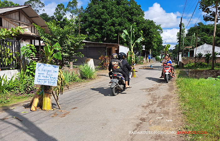 Berlubang: Jalan di Dusun Semanding, Desa Bangle Kecamatan Kanigoro yang rusak ditanami pohon pisang.