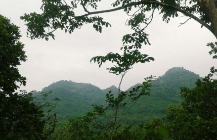 Gunung Wilis.