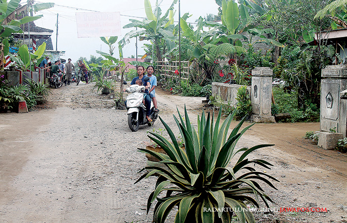 MEMPRIHATINKAN: Kondisi Jalan Nanas akses menuju Puspa Jagad yang rusak di Desa Semen, Kecamatan Gandusari, kemarin.