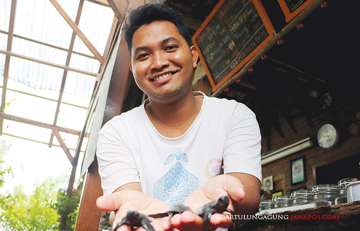 LESTARI: Impron Rosadi, 22, menunjukkan beberapa tukik yang baru saja menetas. Tukik akan dilepas di laut setelah sepekan dikarantina.