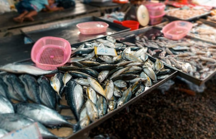 Ilustrasi penjual ikan di pasar.