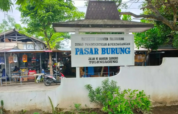 Pasar Burung Beji Tulungagung
