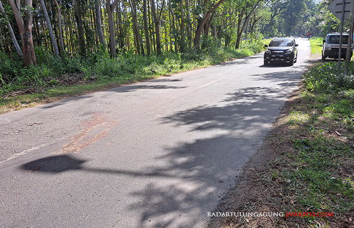 JALUR TENGKORAK: Jalan Raya di Kawasan Hutan Gunung Betet yang jadi lokasi kecelakaan, kemarin (12/7).