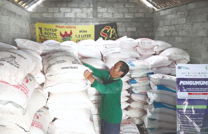 Salah satu gudang milik kelompok tani di Tulungagung sedang menata pupuk urea bersubsidi. 2 ribu ton pupuk tersebut dikembalikan ke pemerintah pusat karena tak terserap.