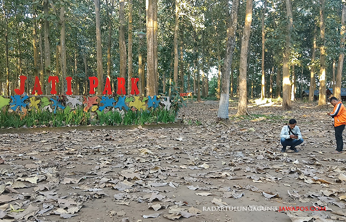 KUMUH: Beberapa pemuda sedang mengabadikan momen di wanawisata Jati Park.&nbsp;