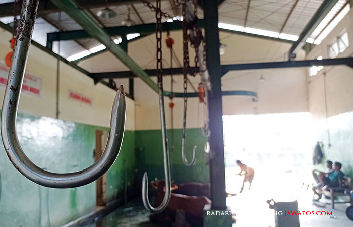 LUAS: Suasana area penyembelihan hewan di RPH Wlingi.
