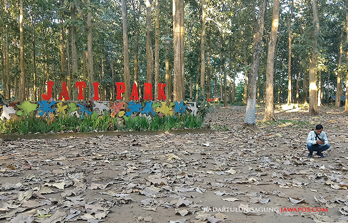 TERBENGKALAI: Pengunjung menikmati suasana di wisata Jati Park di Desa Plumbangan, Kecamatan Doko, kemarin (17/7).