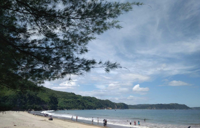 PERAN PENTING: Mangrove berperan penting bagi pencegahan abrasi laut dan erosi.