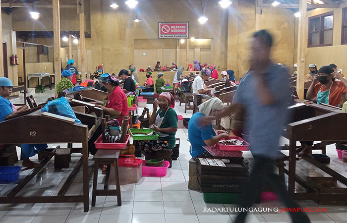 PEKERJA KERAS: Buruh pabrik rokok PT Pura Angkasa sibuk melinting beberapa waktu lalu.