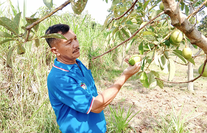 JELI BAGI WAKTU: Siswandi selalu meluangkan waktu di luar kesibukan sebagai Kades Ngujang.