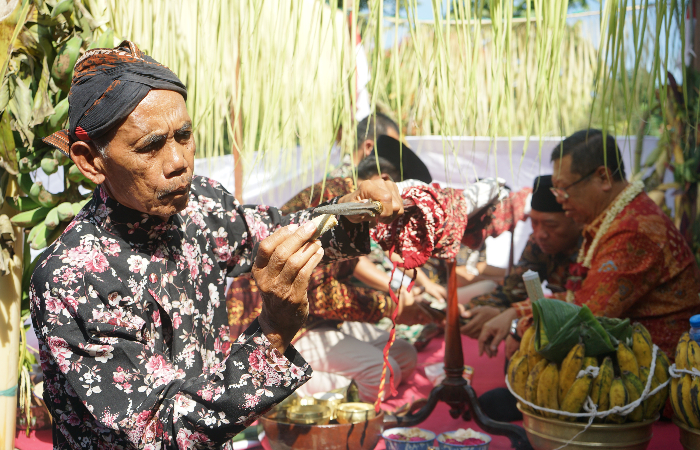 TRADISI:  Winarto saat  melakukan  prosesi  jamasan  tombak  pusaka  Kyai Upas  di Pendapa  Griyo  Ndalem  Kanjengan.