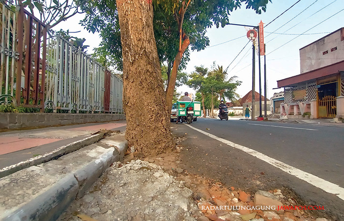 RUSAK: Kondisi trotoar di Jalan Doktor Sotomo, Kecamatan Sananwetan, tampak rusak akibat akar pohon perindang besar.